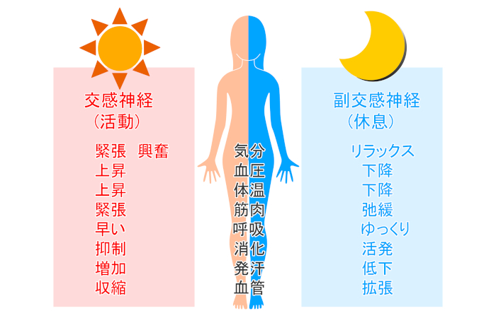 自律神経失調症の原因は？