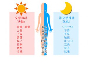 ストレス・更年期・生活習慣など自律神経失調症の原因を解説する記事のアイキャッチ画像