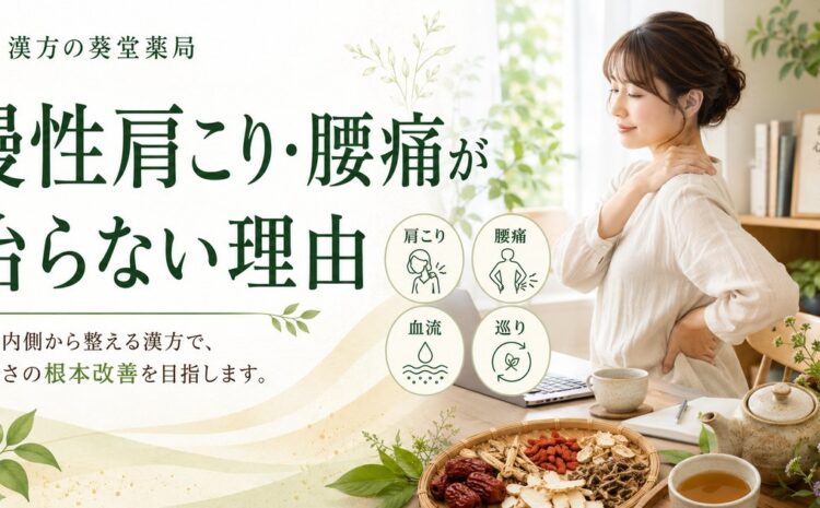 慢性的な肩こり・腰痛が治らない本当の理由｜血流の滞りから見る根本改善の道筋