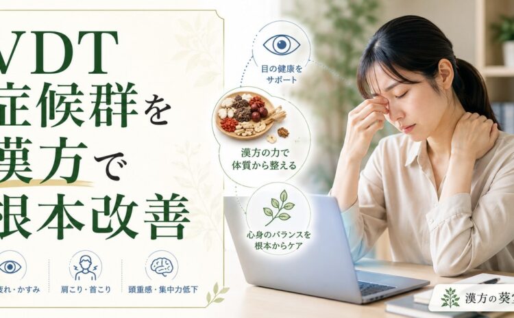 VDT症候群を漢方で根本改善｜目薬では治らない眼精疲労と頭痛を血流から見直す体質改善法
