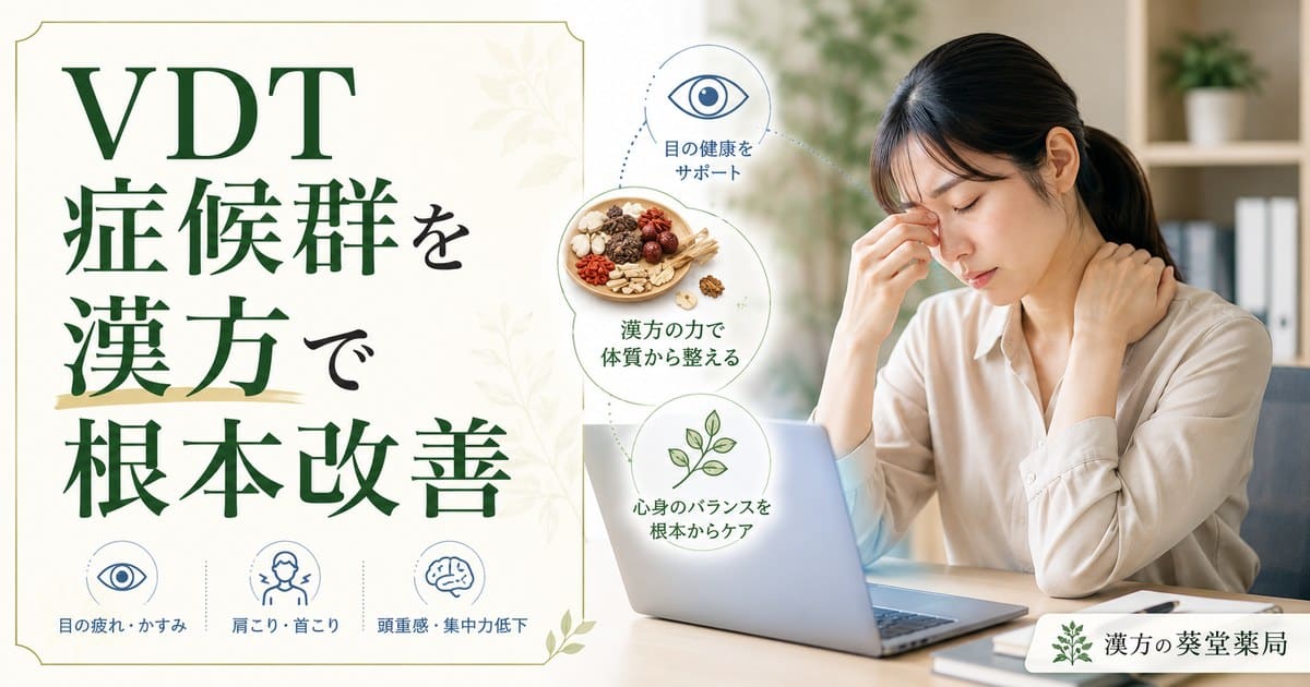 VDT症候群を漢方で根本改善｜目薬では治らない眼精疲労と頭痛を血流から見直す体質改善法
